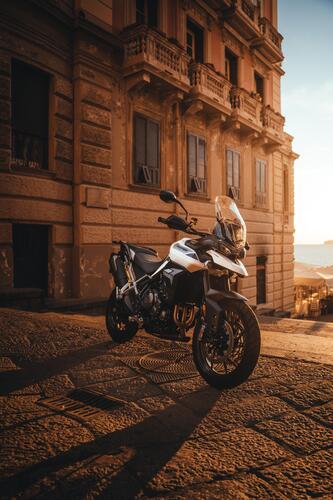 Triumph raggiunge il record storico in Italia, scopriamo quale e con quali moto (8)