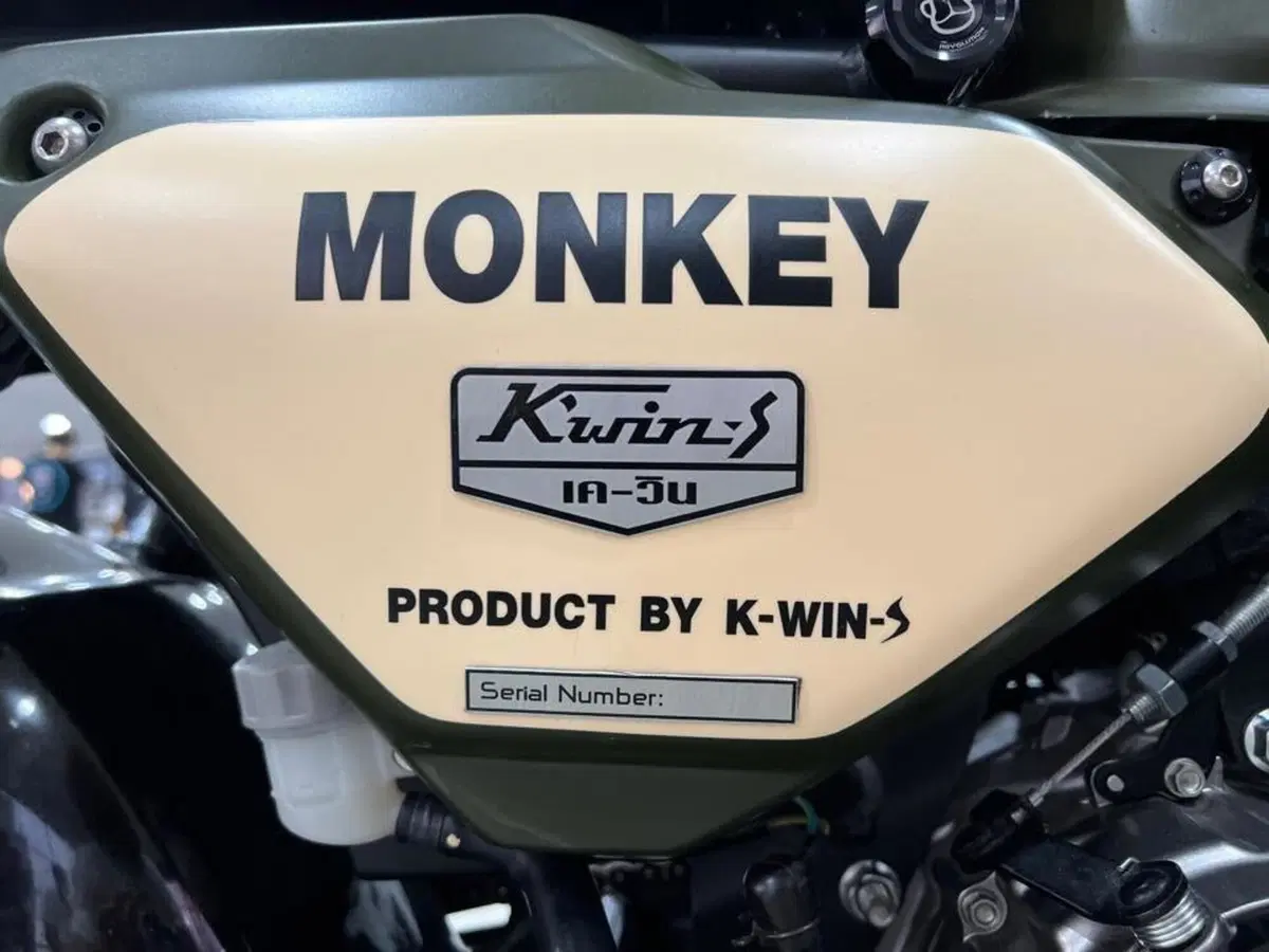Sembrerà strano, ma c'è una Honda dedicata alla mitica Moto Guzzi 8 cilindri (10)