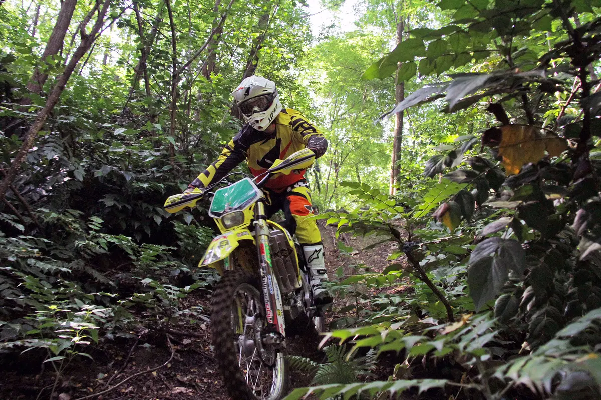 Suzuki RME 50, 250, 450 Rigo Moto (4)