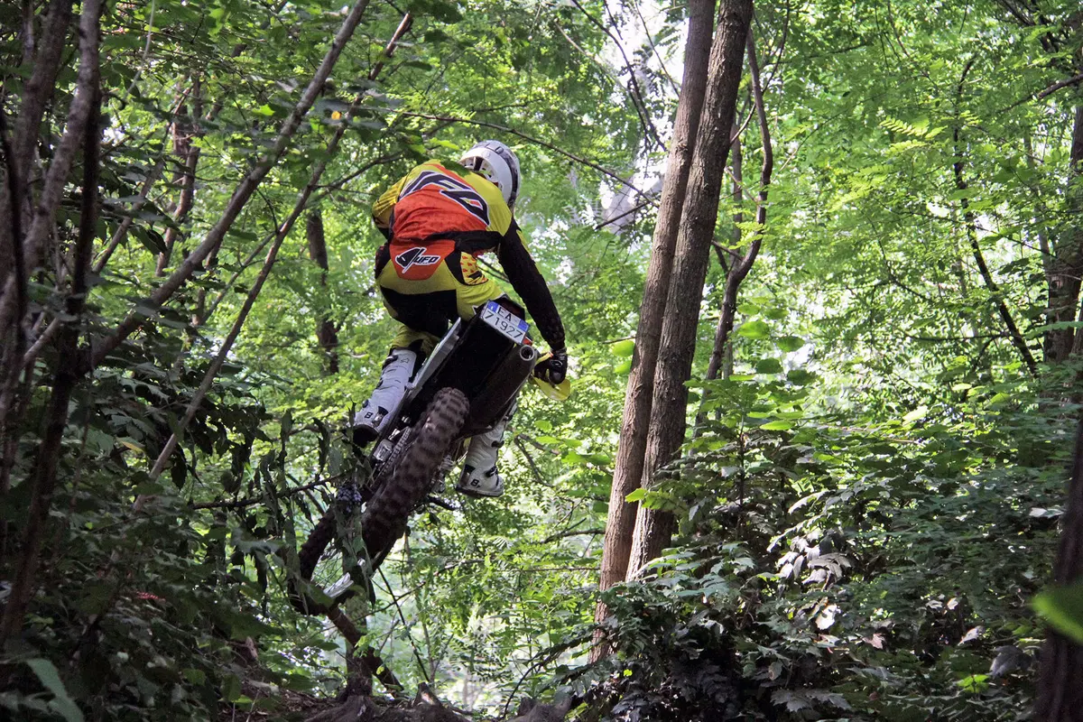 Suzuki RME 50, 250, 450 Rigo Moto
