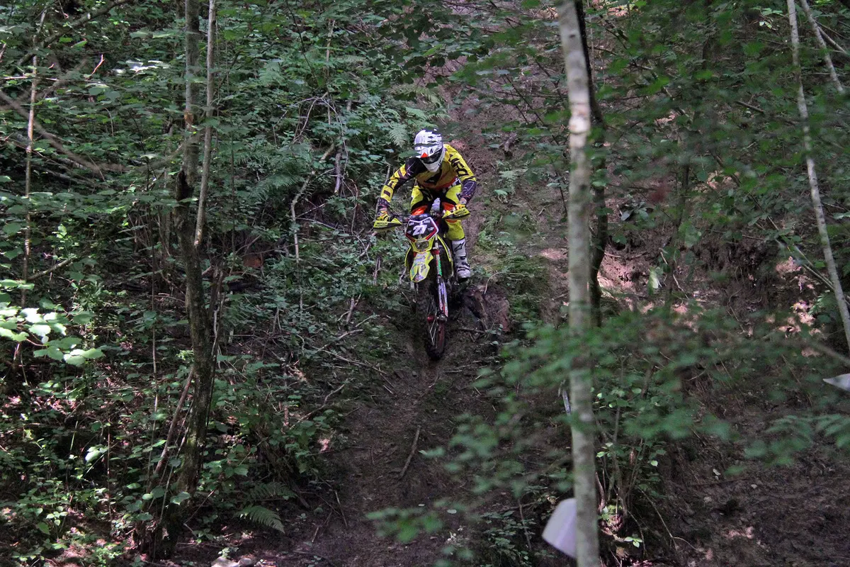Suzuki RME 50, 250, 450 Rigo Moto (11)