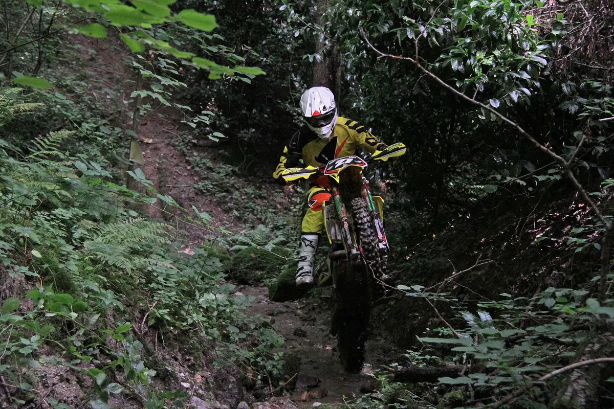 Suzuki RME 50, 250, 450 Rigo Moto (17)