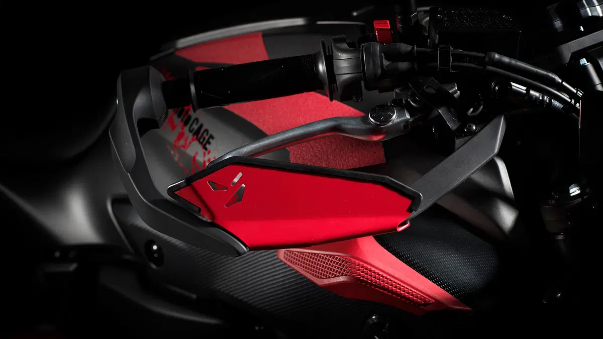 Yamaha MT-07 Moto Cage 2015 (19)