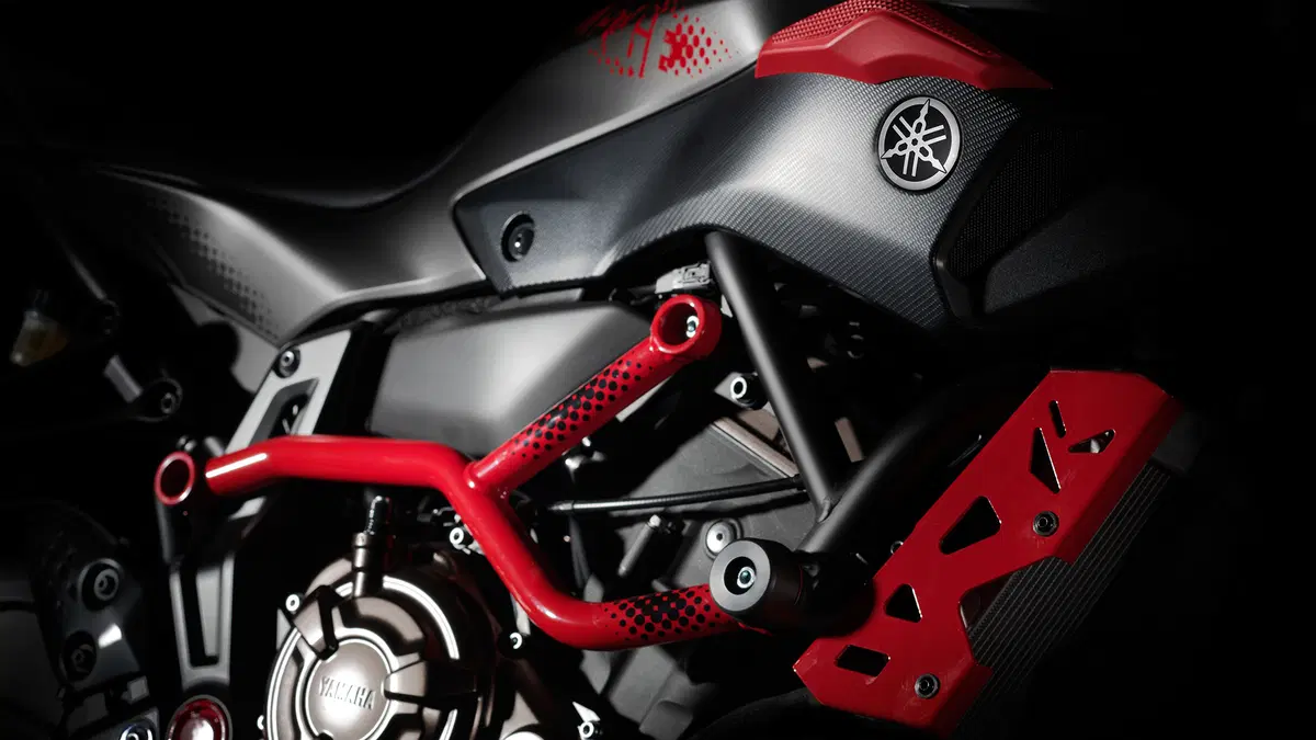 Yamaha MT-07 Moto Cage 2015 (23)