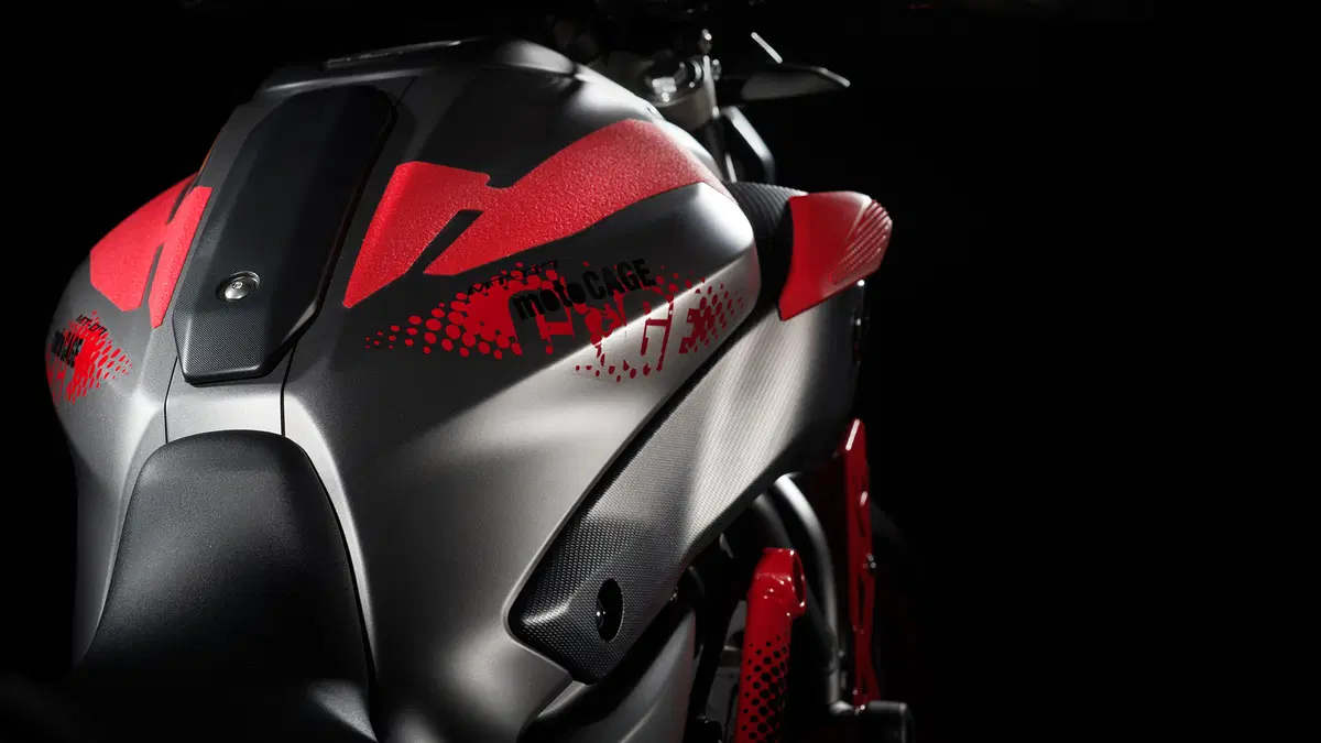 Yamaha MT-07 Moto Cage 2015 (25)