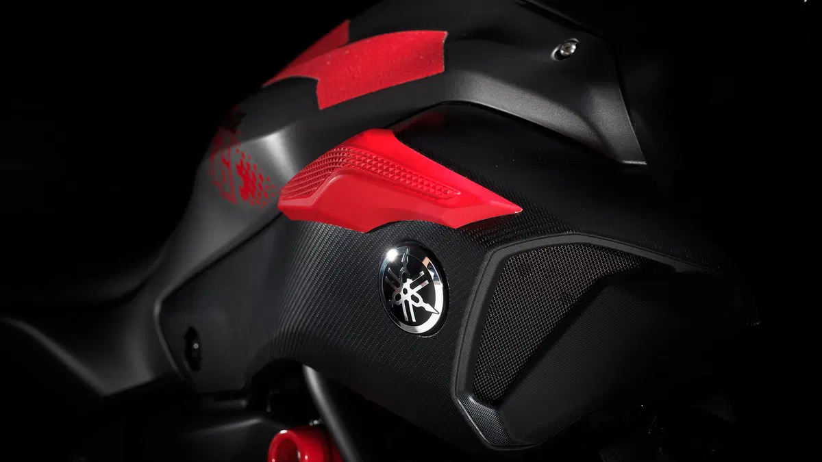 Yamaha MT-07 Moto Cage 2015 (26)