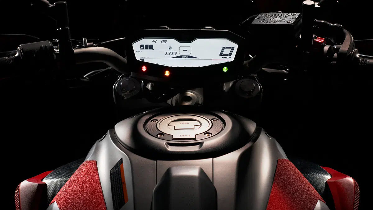 Yamaha MT-07 Moto Cage 2015 (28)