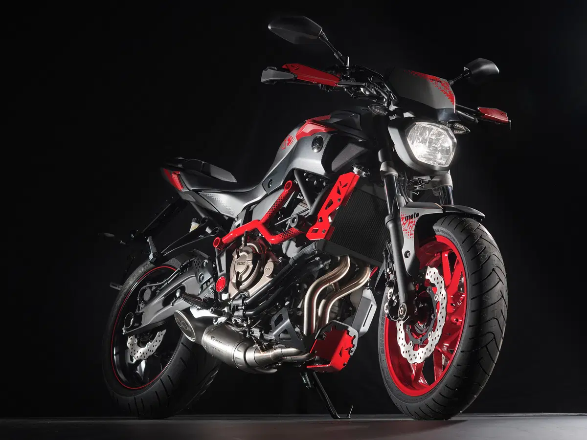 Yamaha MT-07 Moto Cage 2015 (33)