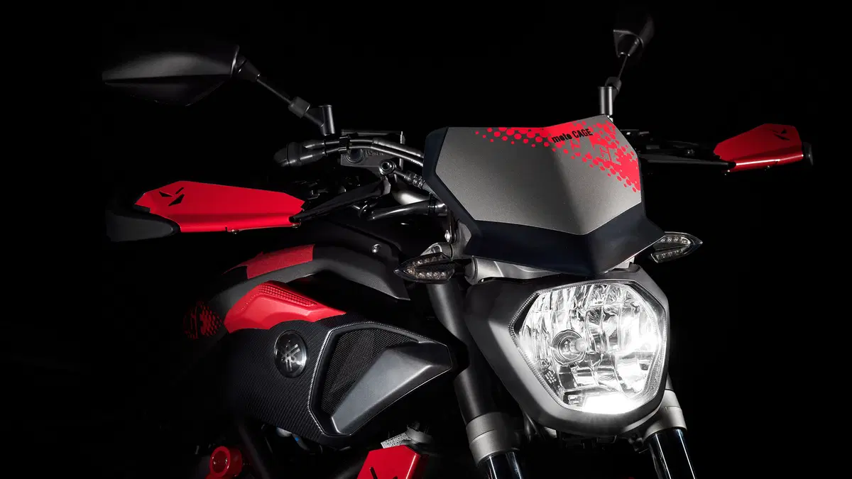 Yamaha MT-07 Moto Cage 2015 (31)
