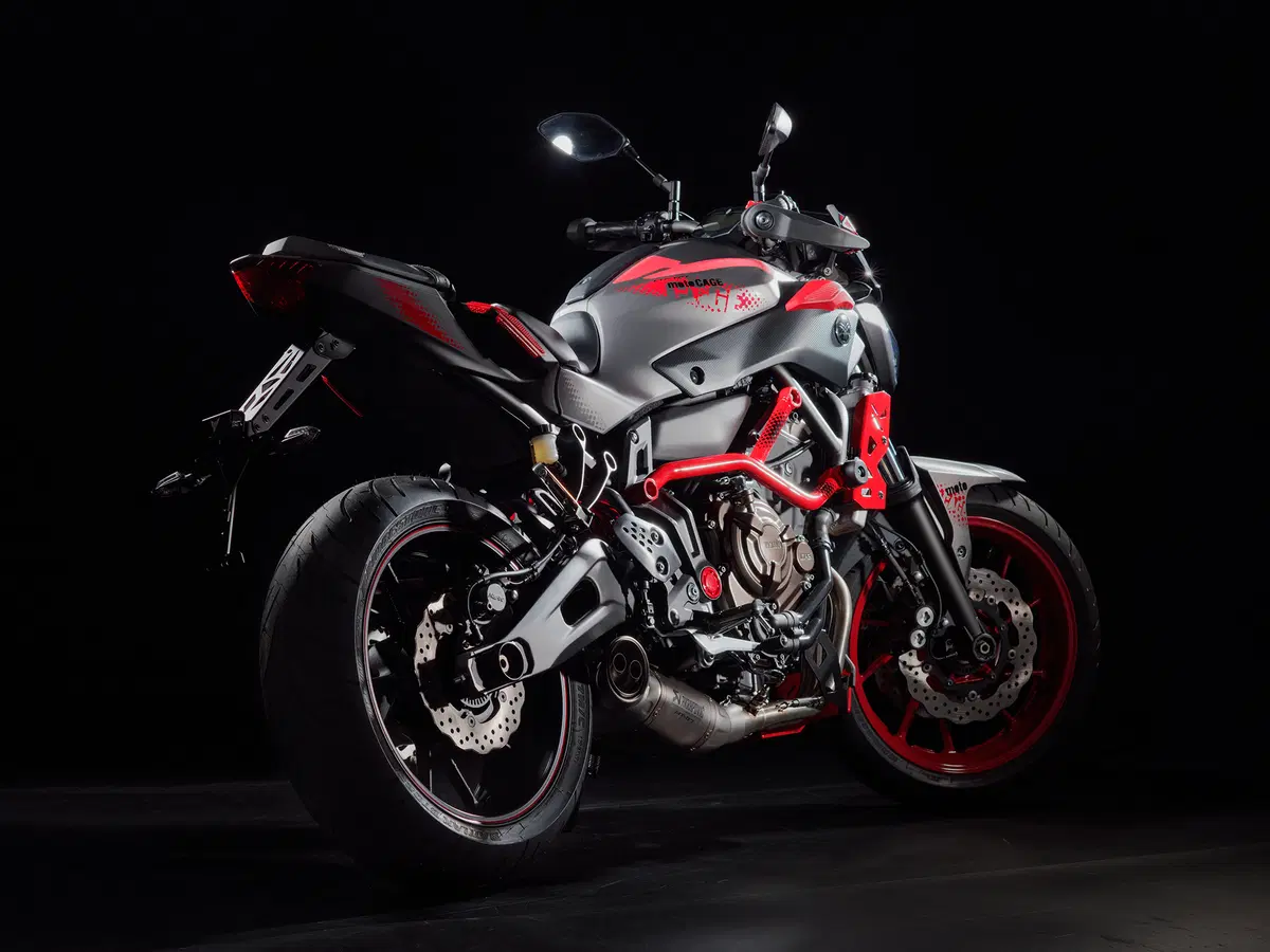 Yamaha MT-07 Moto Cage 2015 (34)