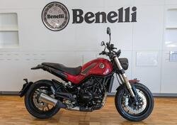 Benelli Leoncino 500 (2021 - 24) nuova