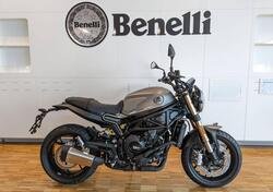 Benelli Leoncino 800 (2022 - 24) nuova