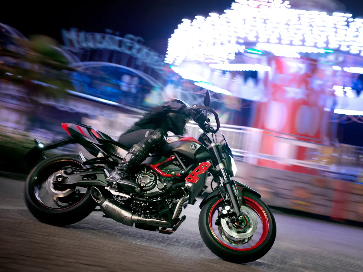Yamaha MT-07 Moto Cage 2015 (3)