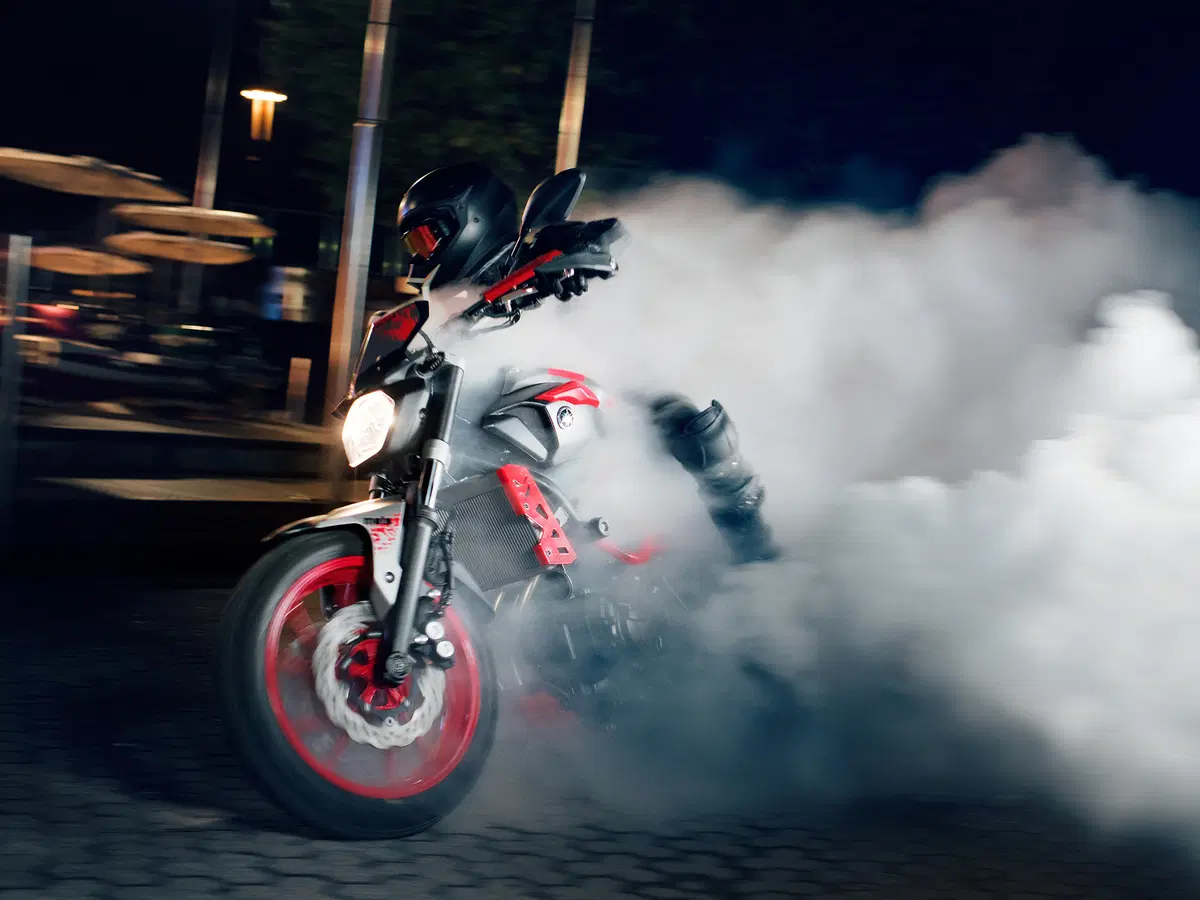 Yamaha MT-07 Moto Cage 2015 (8)