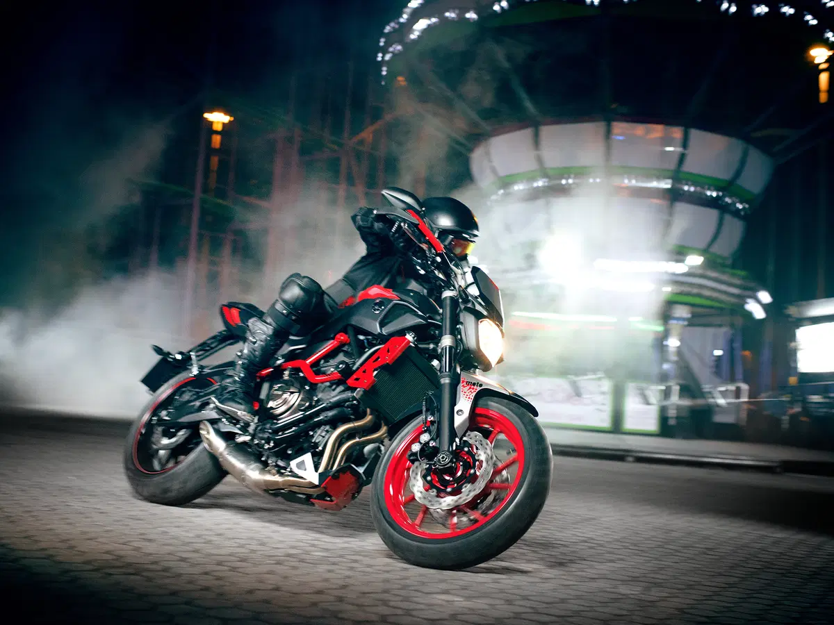 Yamaha MT-07 Moto Cage 2015 (5)
