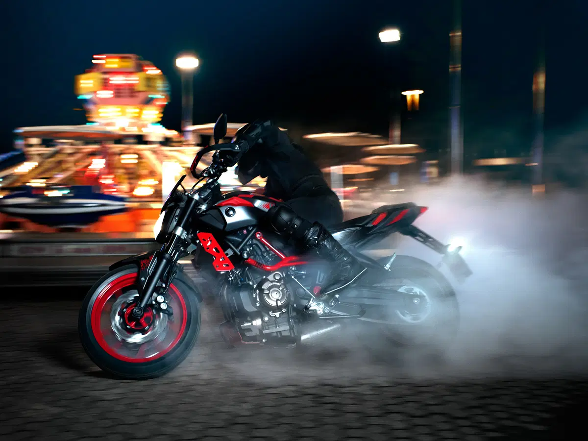 Yamaha MT-07 Moto Cage 2015 (7)