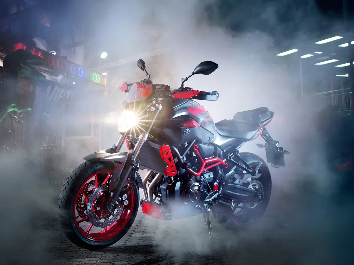 Yamaha MT-07 Moto Cage 2015 (10)