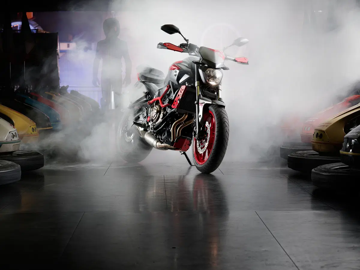 Yamaha MT-07 Moto Cage 2015 (11)
