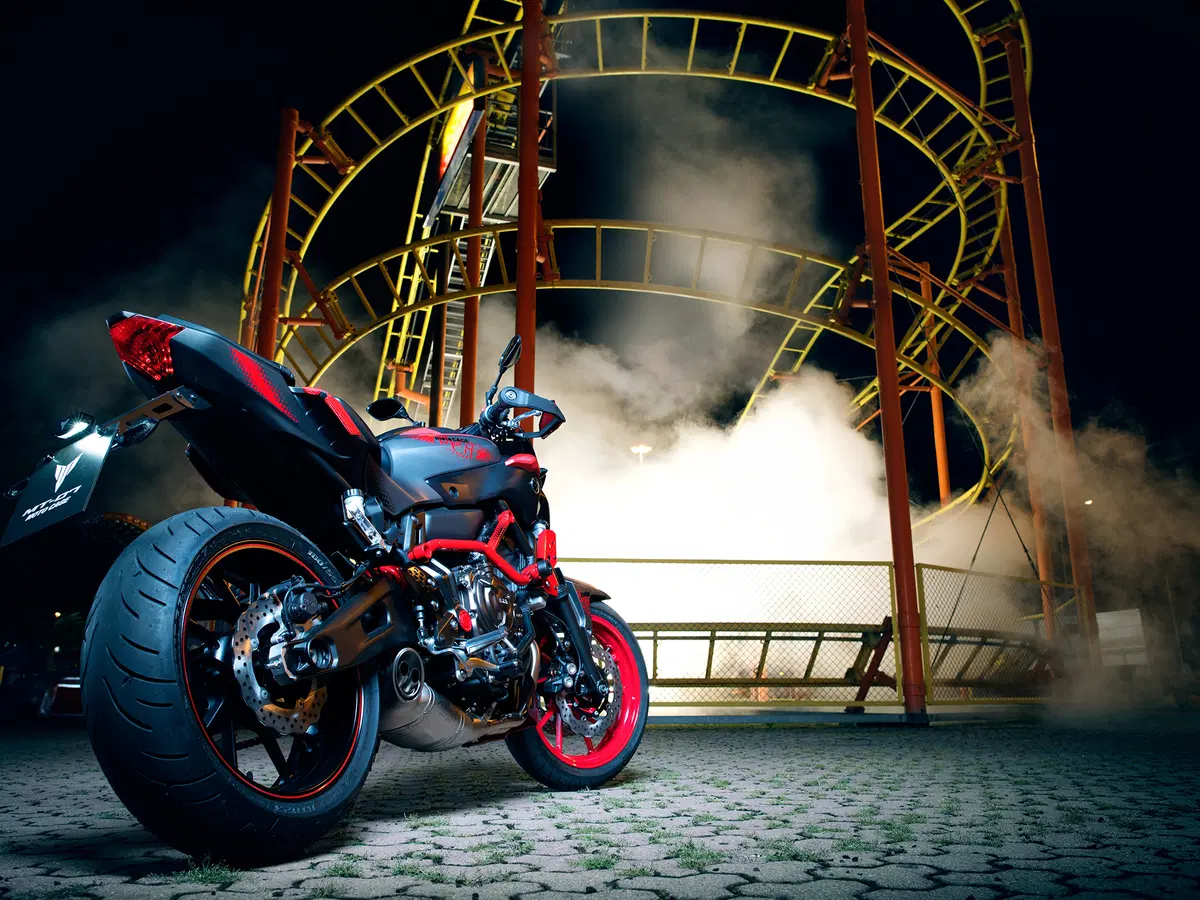 Yamaha MT-07 Moto Cage 2015 (12)