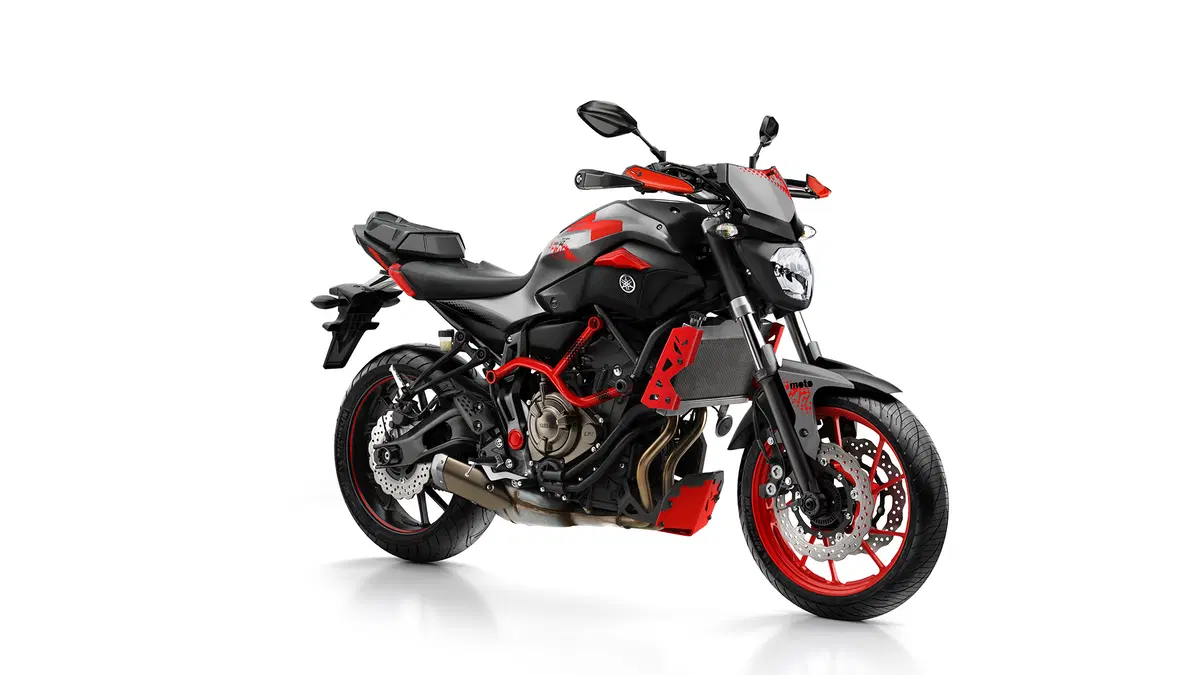 Yamaha MT-07 Moto Cage 2015 (39)