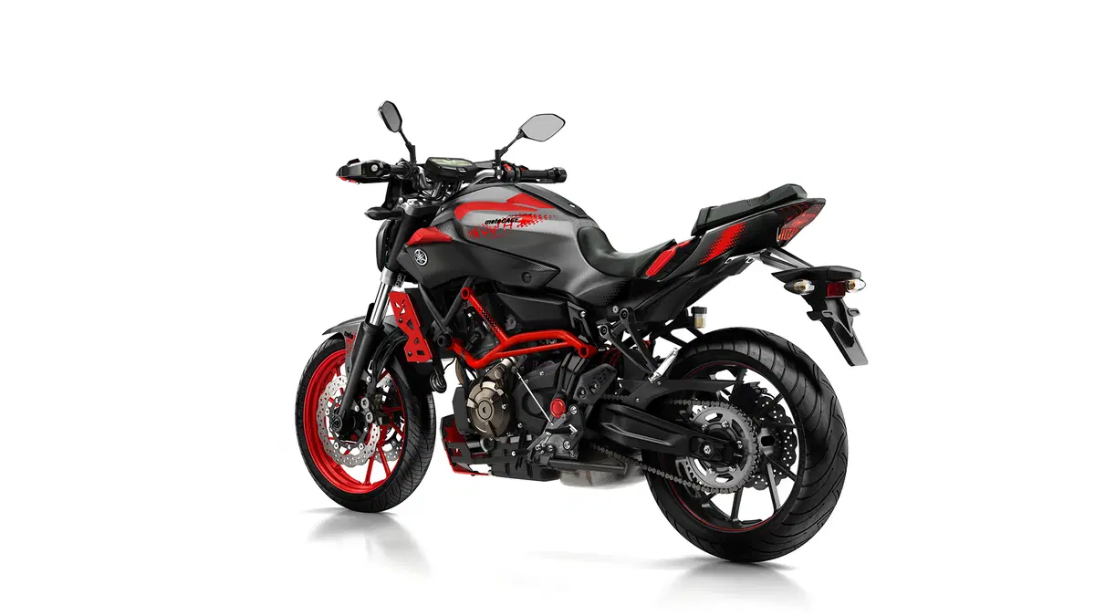 Yamaha MT-07 Moto Cage 2015 (41)