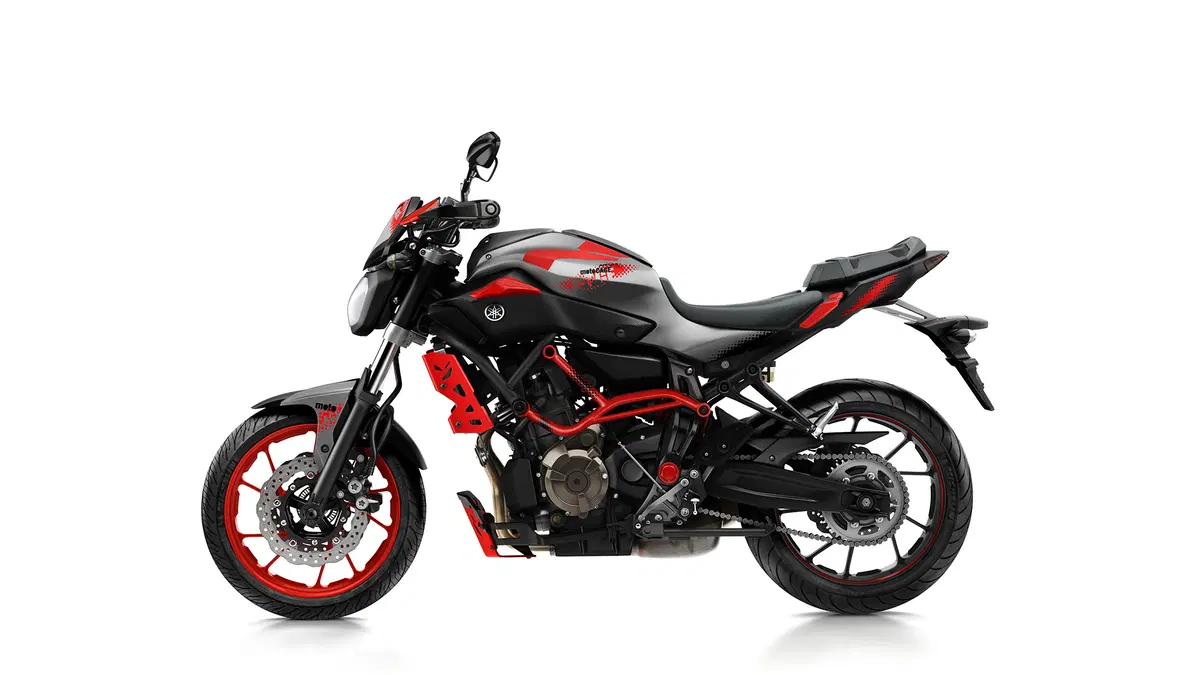 Yamaha MT-07 Moto Cage 2015 (40)