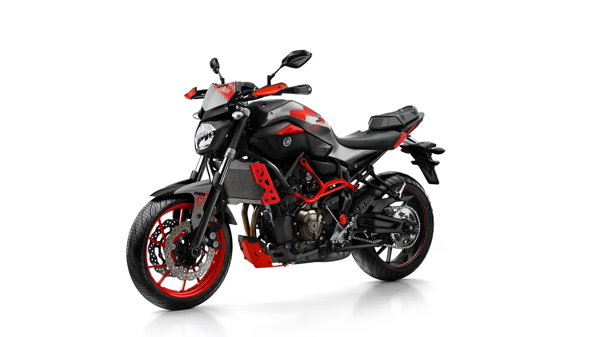 Yamaha MT-07 Moto Cage 2015 (42)