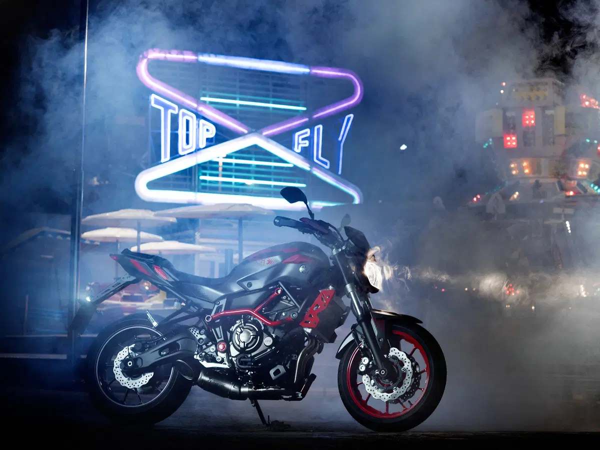 Yamaha MT-07 Moto Cage 2015 (14)