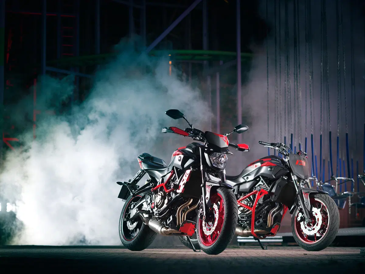 Yamaha MT-07 Moto Cage 2015 (13)