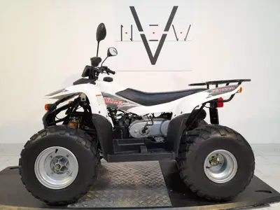  Altre moto o tipologie Quad usata