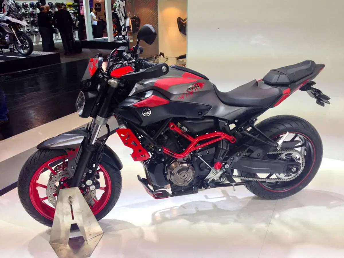 Yamaha MT-07 Moto Cage 2015 (2)