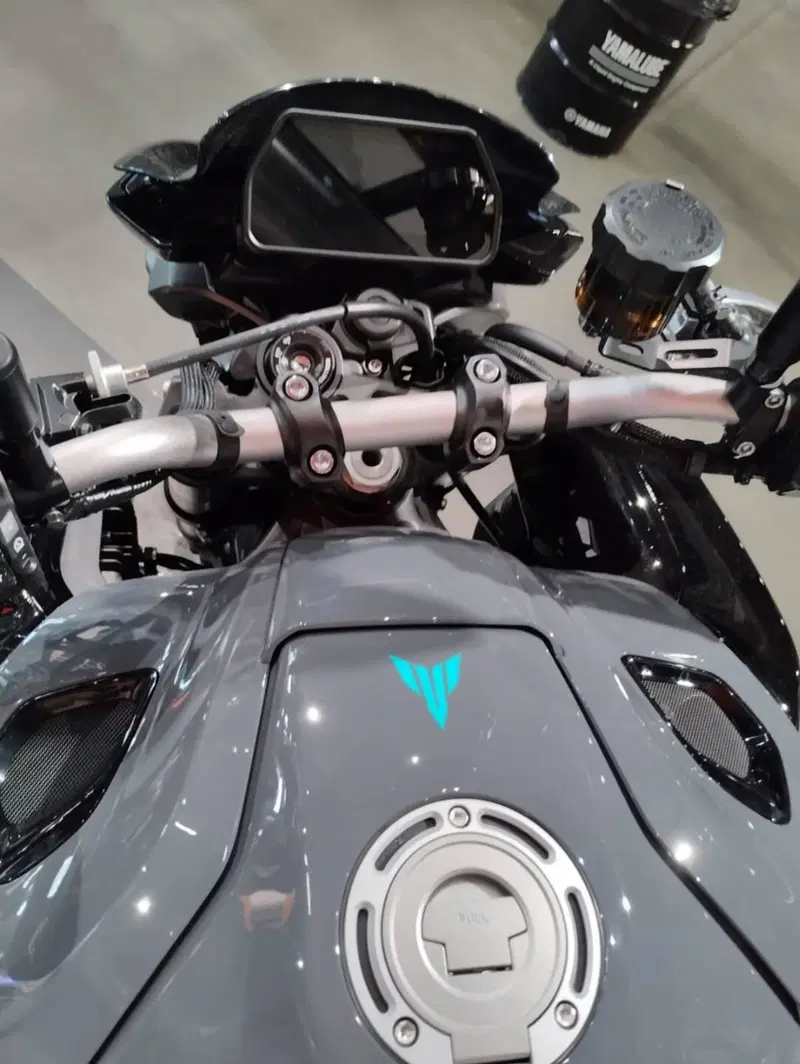Yamaha MT-10 (2022 - 26) (6)