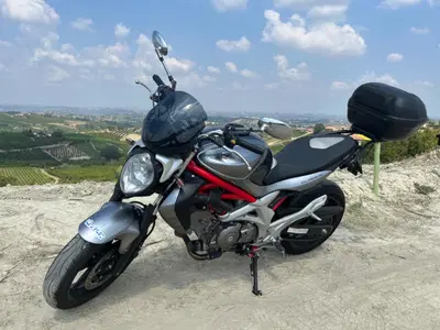 Suzuki SV 650 (2006 - 11) usata