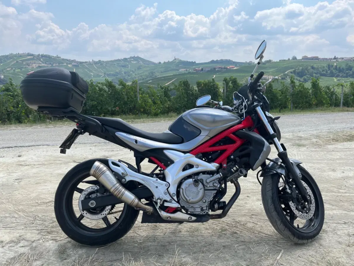 Suzuki SV 650 (2006 - 11) (2)
