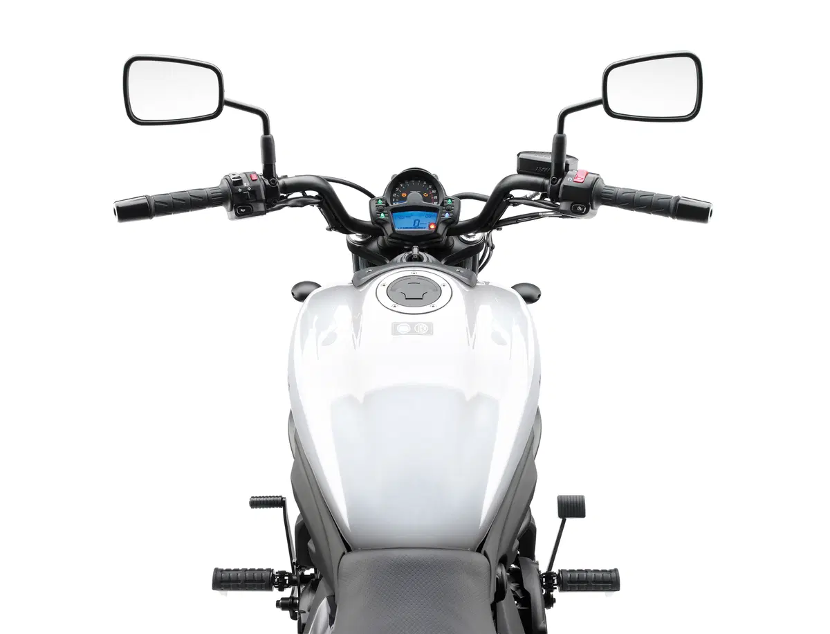 Kawasaki Vulcan S (15)