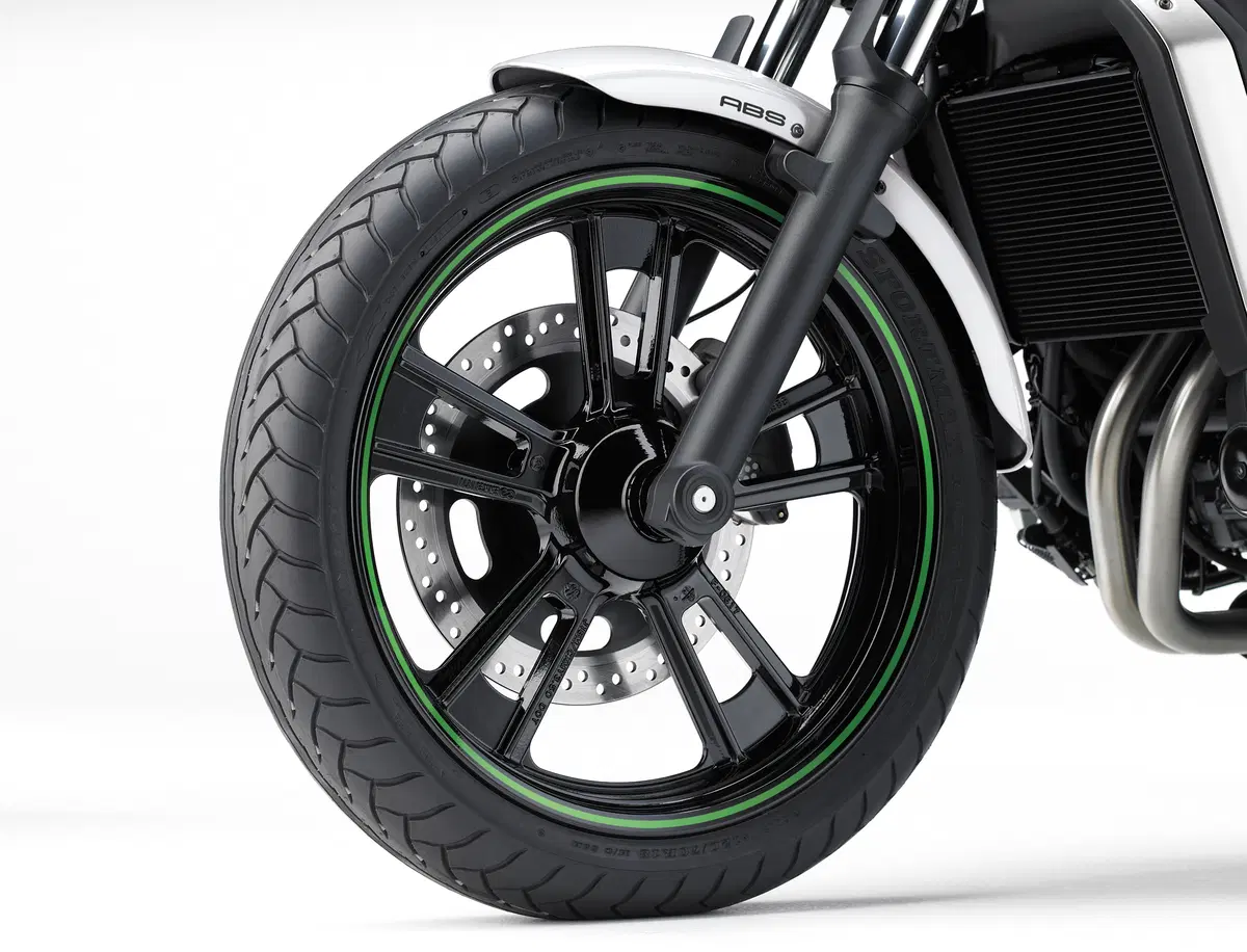Kawasaki Vulcan S (23)