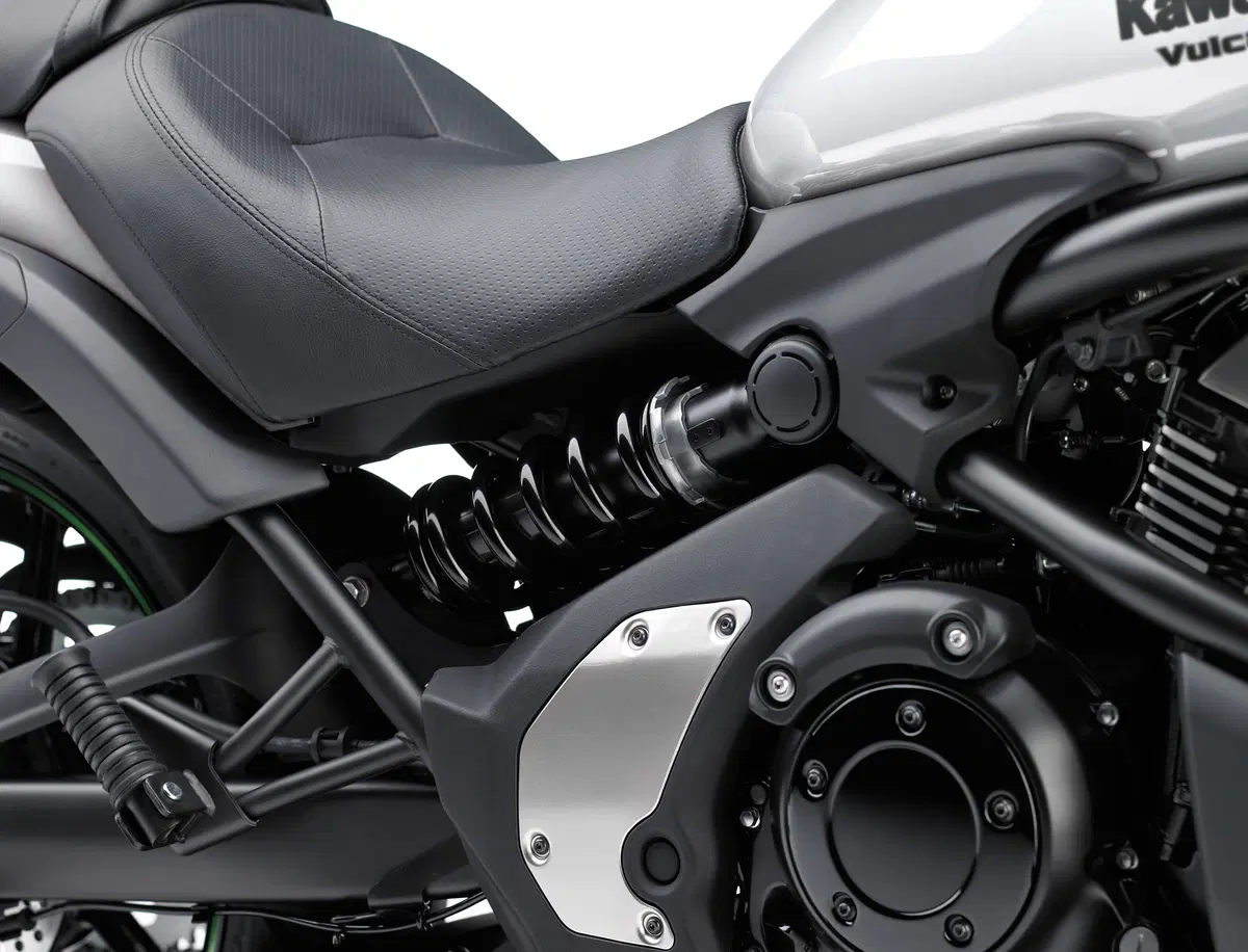 Kawasaki Vulcan S (20)