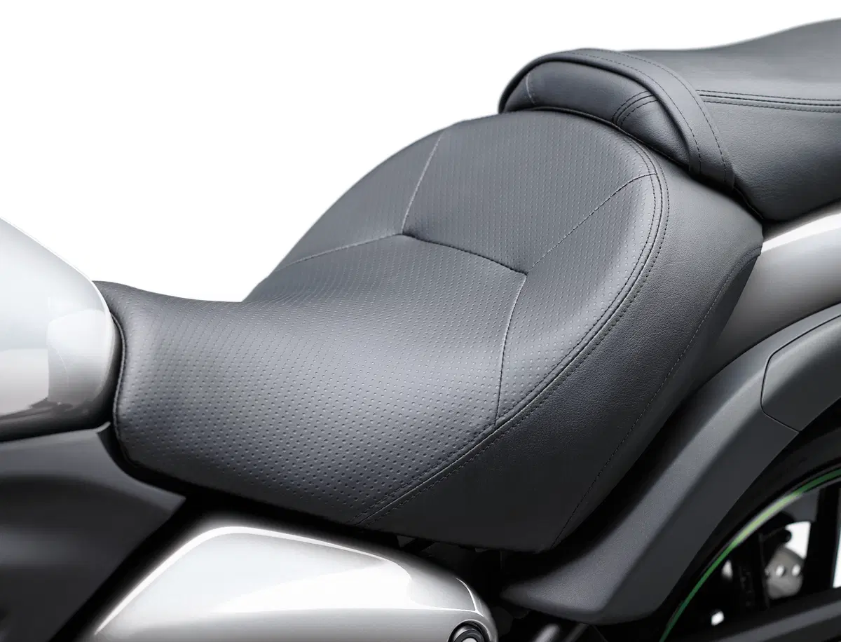 Kawasaki Vulcan S (19)