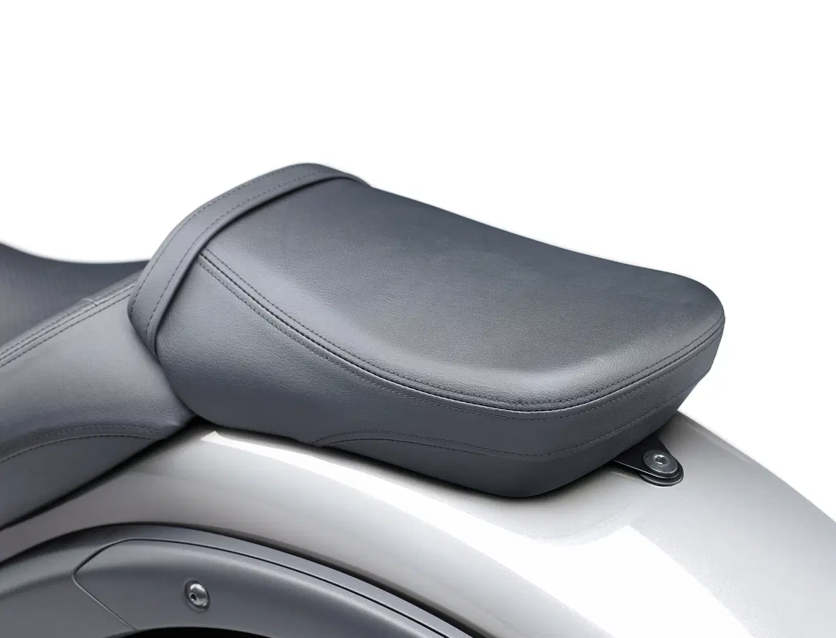 Kawasaki Vulcan S (27)