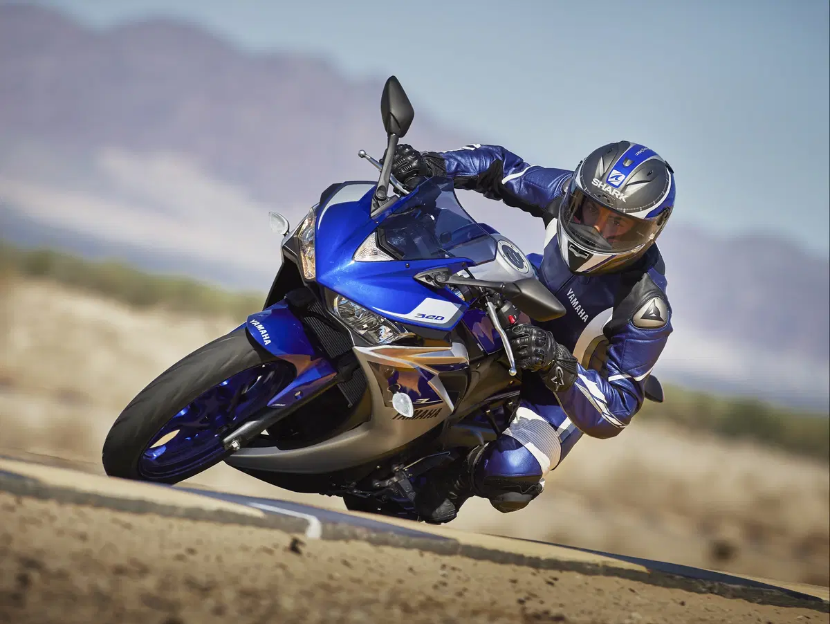  Yamaha YZF-R3 2015 (2)