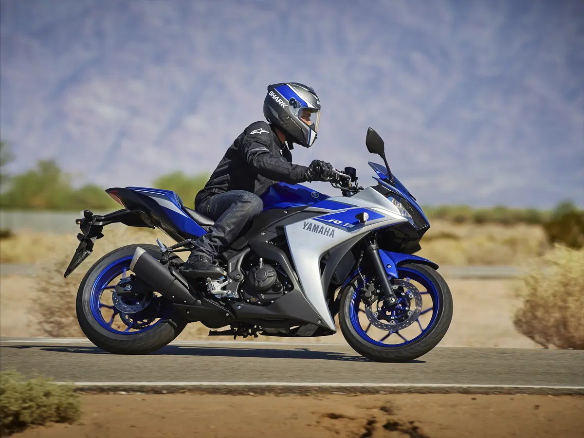  Yamaha YZF-R3 2015 (5)