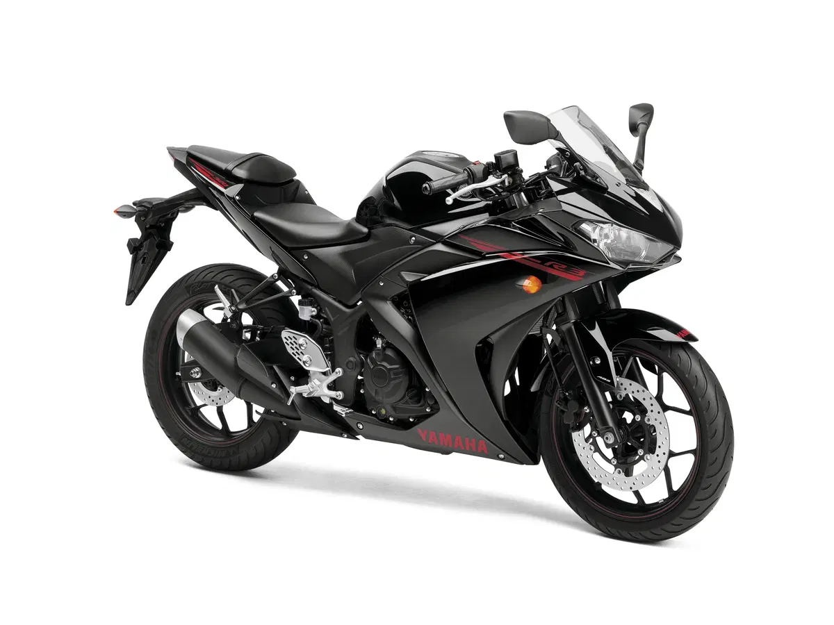  Yamaha YZF-R3 2015 (10)