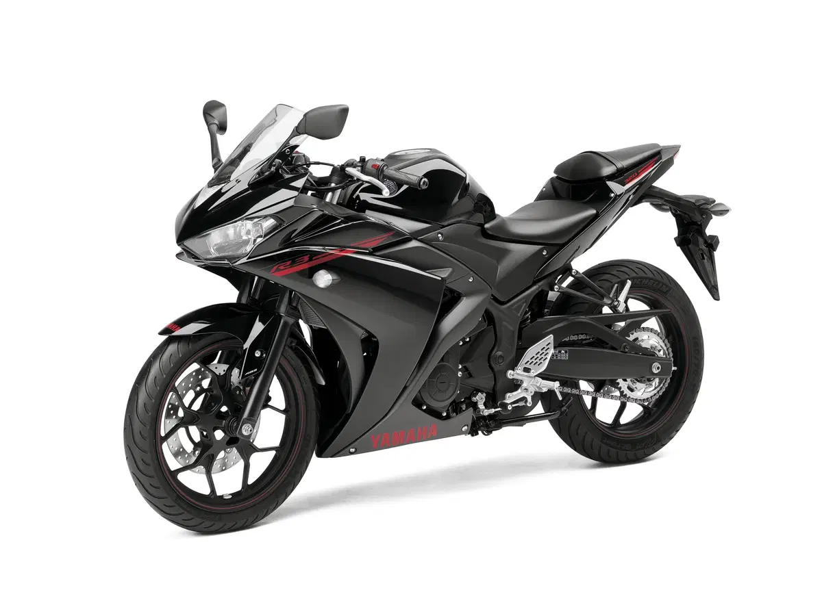  Yamaha YZF-R3 2015 (14)