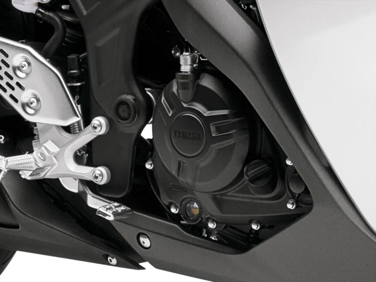  Yamaha YZF-R3 2015 (15)