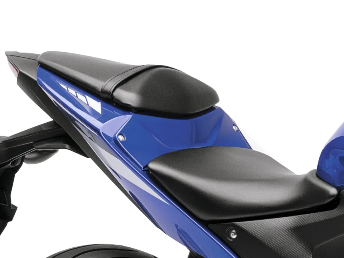  Yamaha YZF-R3 2015 (16)