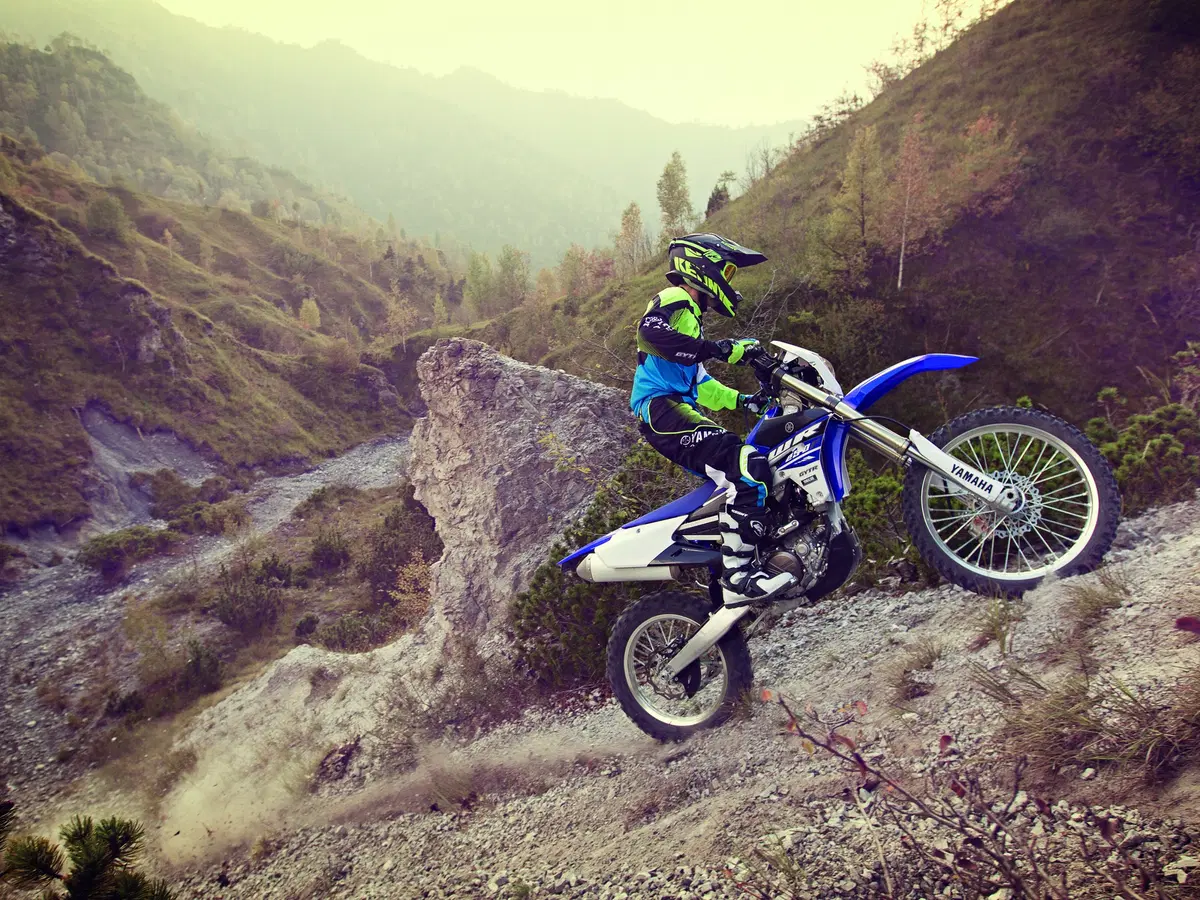 Yamaha WR250F 2015 (3)