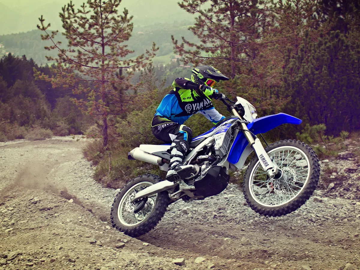 Yamaha WR250F 2015 (4)
