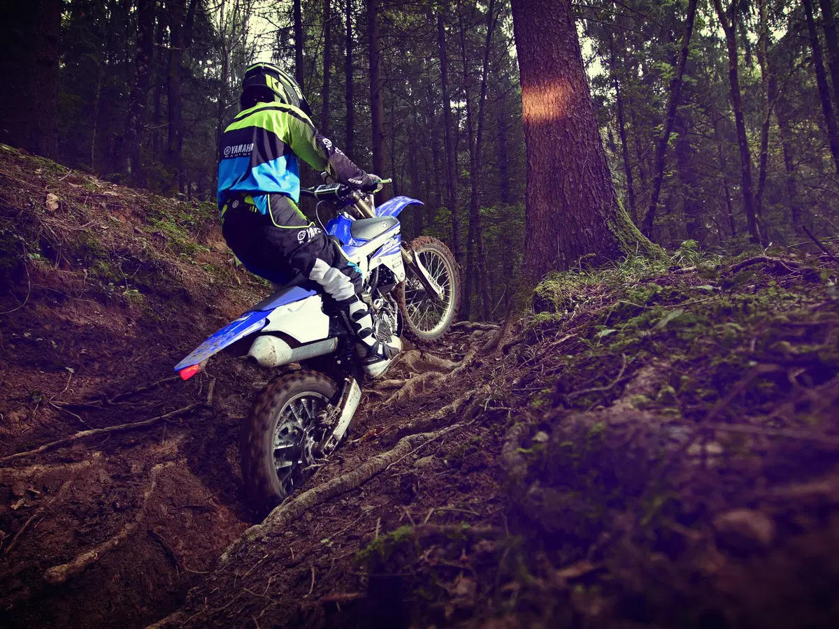 Yamaha WR250F 2015 (6)