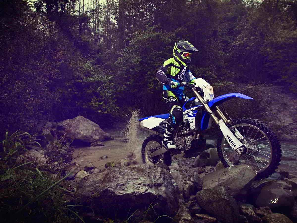 Yamaha WR250F 2015 (8)