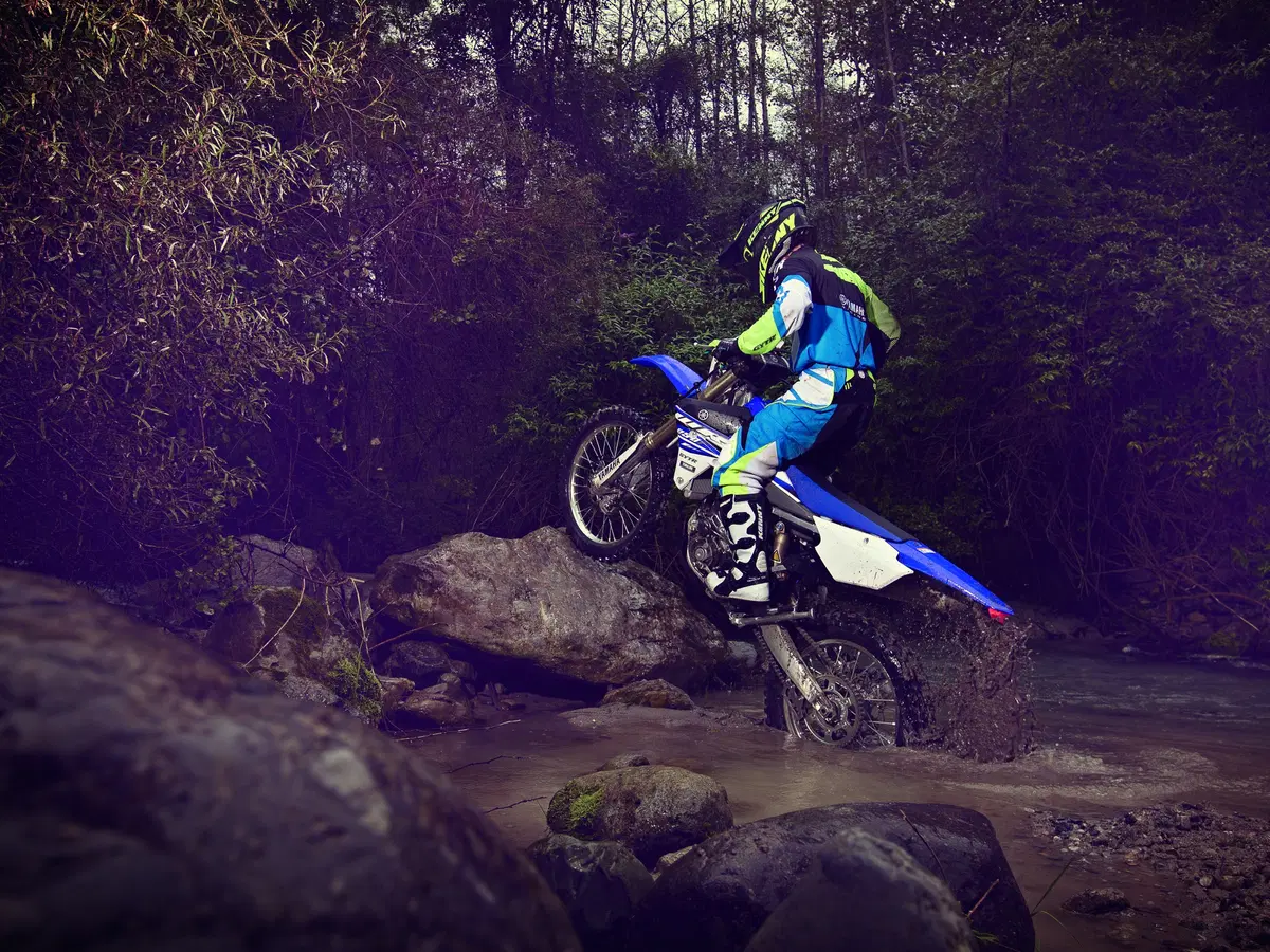 Yamaha WR250F 2015 (9)